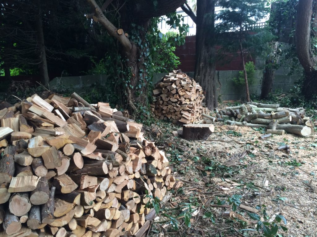 Neat stacks of freshly split macrocarpa firewood after tree was cut down in Dublin 18