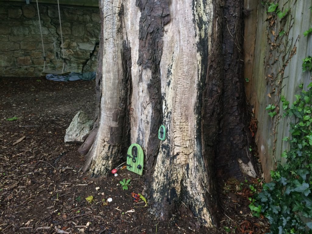 Decaying chestnut with extensive cambium damage and woodworm infestation in Dublin dangerous tree duty of care. Notify owners. Ethics