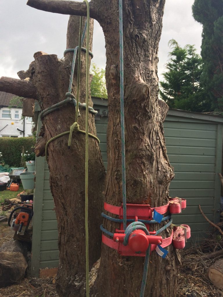 Tree Care Tree Surgery Rigging a heavy section of a tree to avoid damaging shed in Dublin